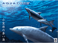AQUAZONE Open Water 小笠原の蒼い海 パッケージ画像