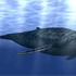 AQUAZONE Open Water 小笠原の蒼い海 スクリーンショット画像