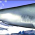 AQUAZONE 水中庭園 サメ スクリーンショット画像