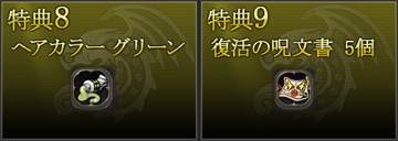 ドラゴンネスト プレミアムパッケージ 特典アイテム