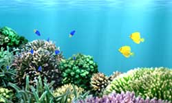 AQUAZONE Open Water 琉球珊瑚の海 スクリーンショット画像