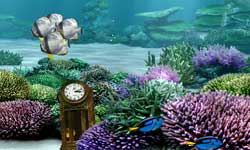AQUAZONE Open Water 琉球珊瑚の海 スクリーンショット画像