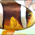 AQUAZONE 水中庭園 クマノミ スクリーンショット画像